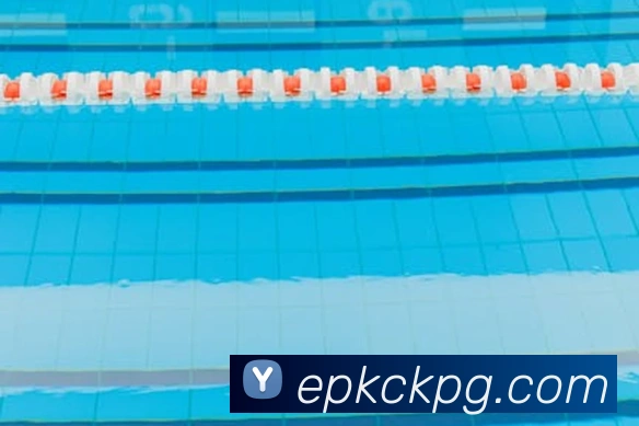 pg电子平台生态图